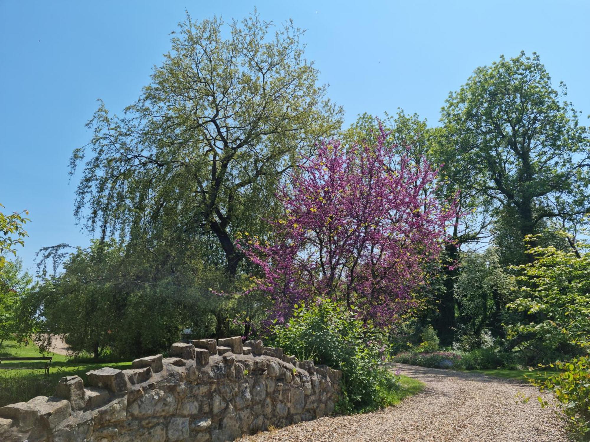 Glyndwr Vineyard Hotel Каубридж Екстериор снимка